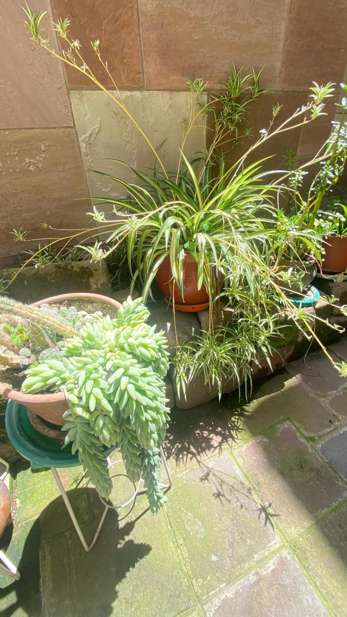Apartamento Qorigardens Aparts & Cuzco